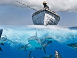Navy Exam Myths&nbsp;Debunked
